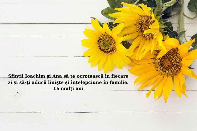 Mesaje și urări