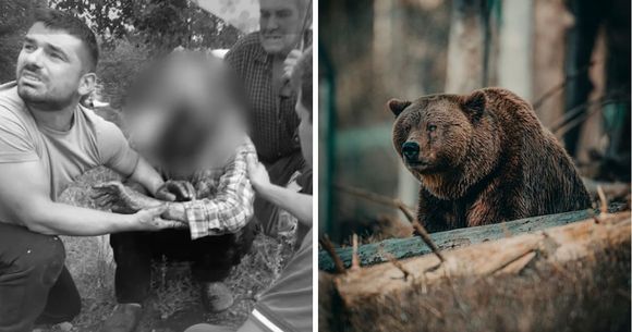 colaj barbat desfigurat de urs mures-urs