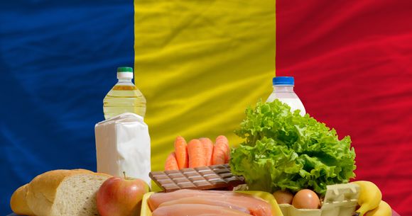 Alimente de bază