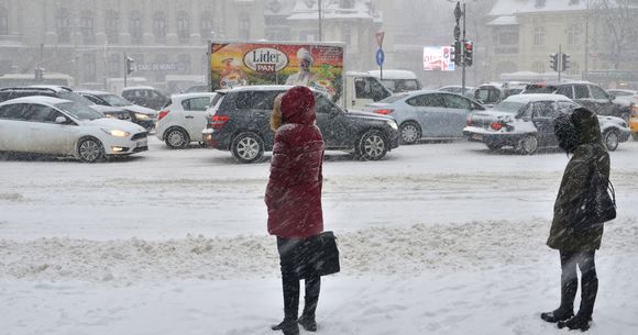 Ninsori în România
