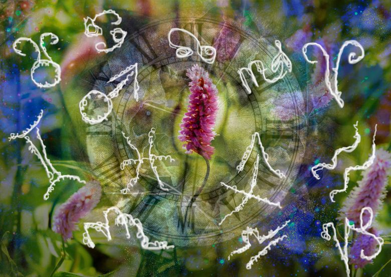 Horoscop 4 octombrie 2025