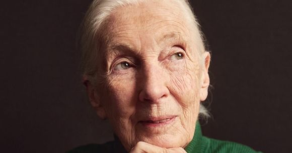 Jane Goodall 