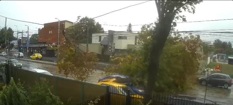 Copac căzut peste o mașină București