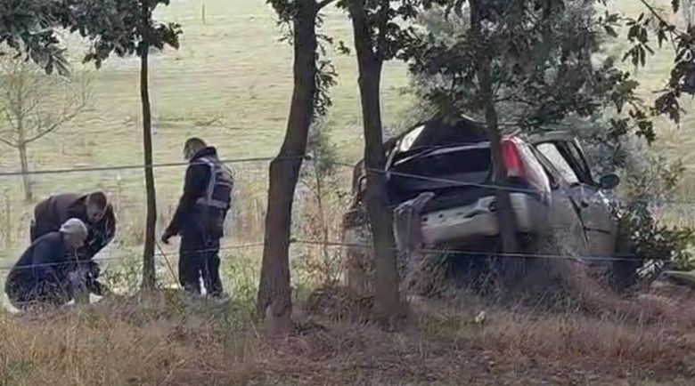 Accident Ana Guț