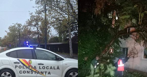 Furtuna București și Constanța