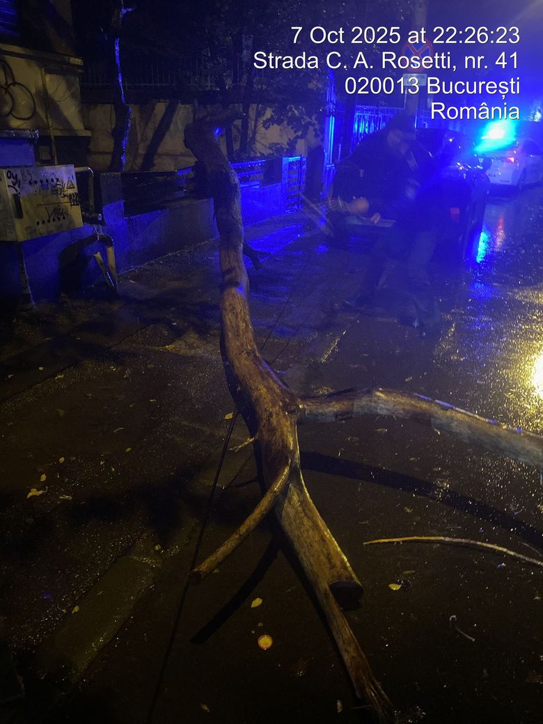 Furtuna București