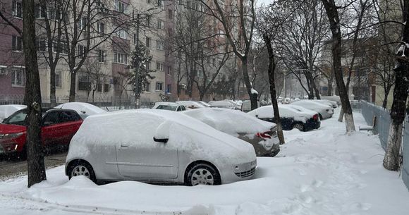 Ninsoare București