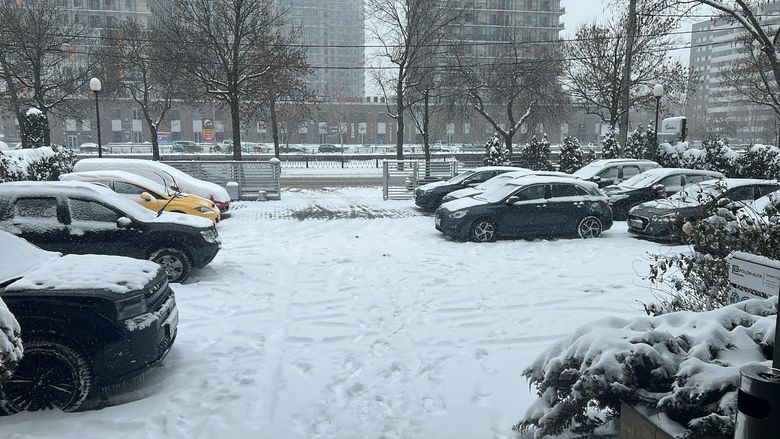 Ninsoare București