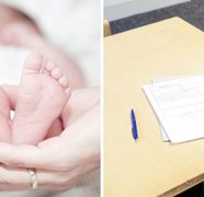 Încep înscrierile în Programul Național FIV 2025. Înscrierile se fac exclusiv online. Ce documente sunt necesare