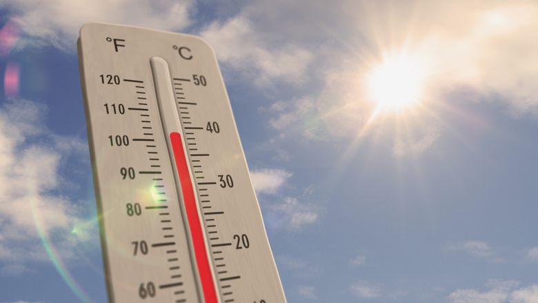 prognoza meteo 