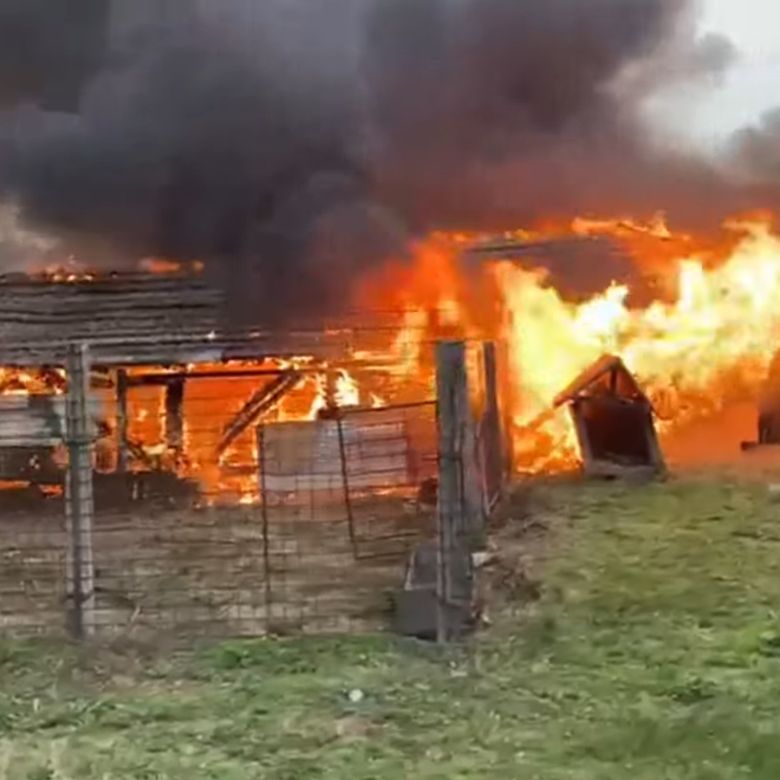 Incendiul se manifesta generalizat pe o suprafață extinsă incendiu Băicoi