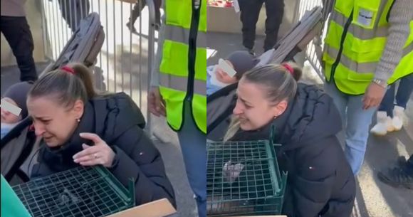 Momentul în care motănelul se reunește cu familia lui  motan Rahova