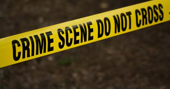 banda de politie crima