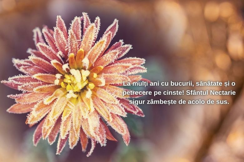 Mesaje de Sf Nectarie