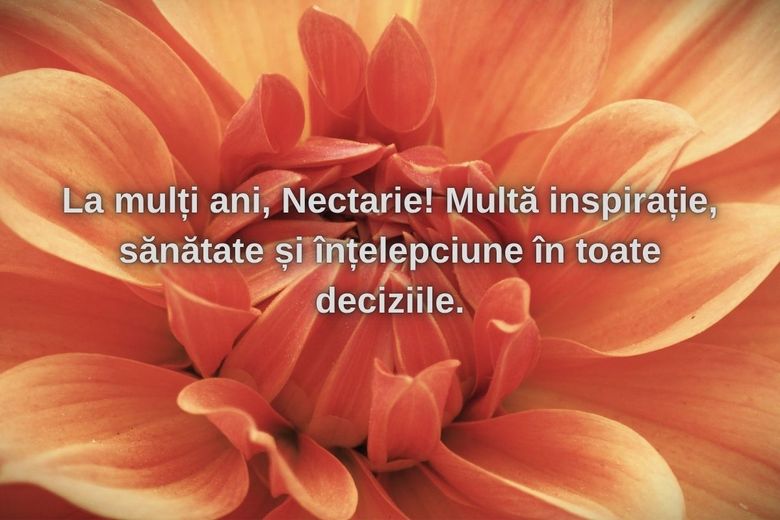Mesaje de Sf Nectarie
