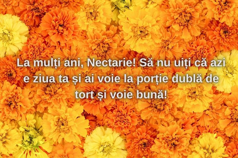 Mesaje de Sfântul Nectarie 