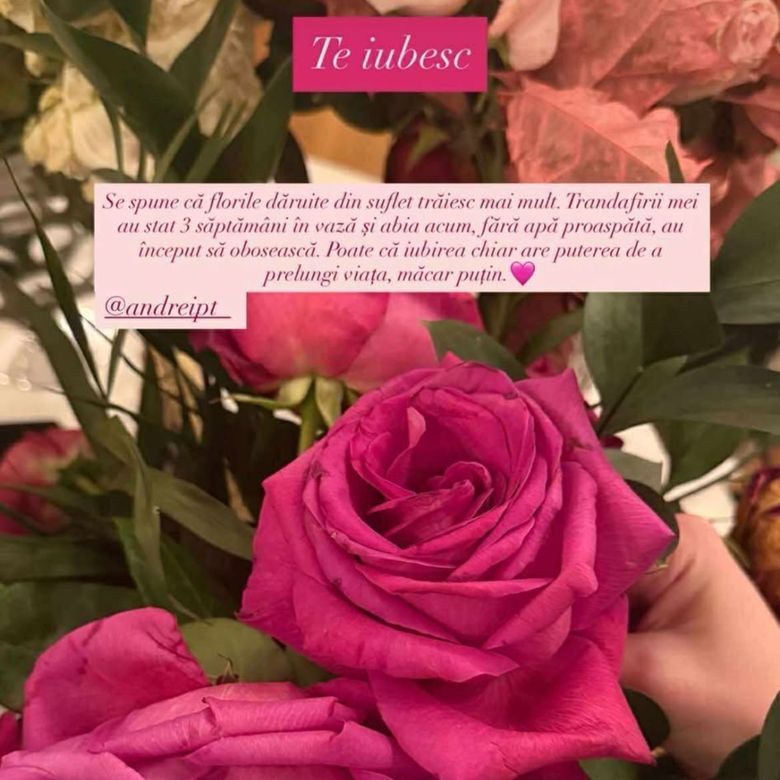 Trandafiri Alexandrina