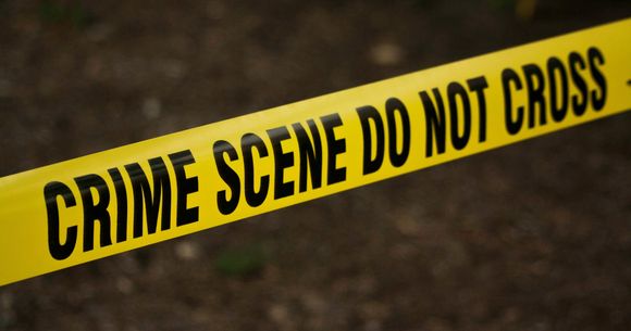 banda de politie crima