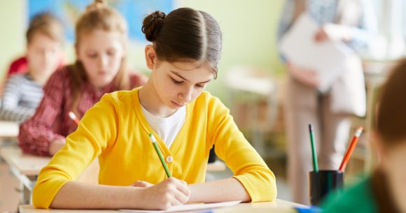 burse decembrie 2025