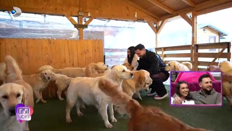 bianca si robert casa iubirii