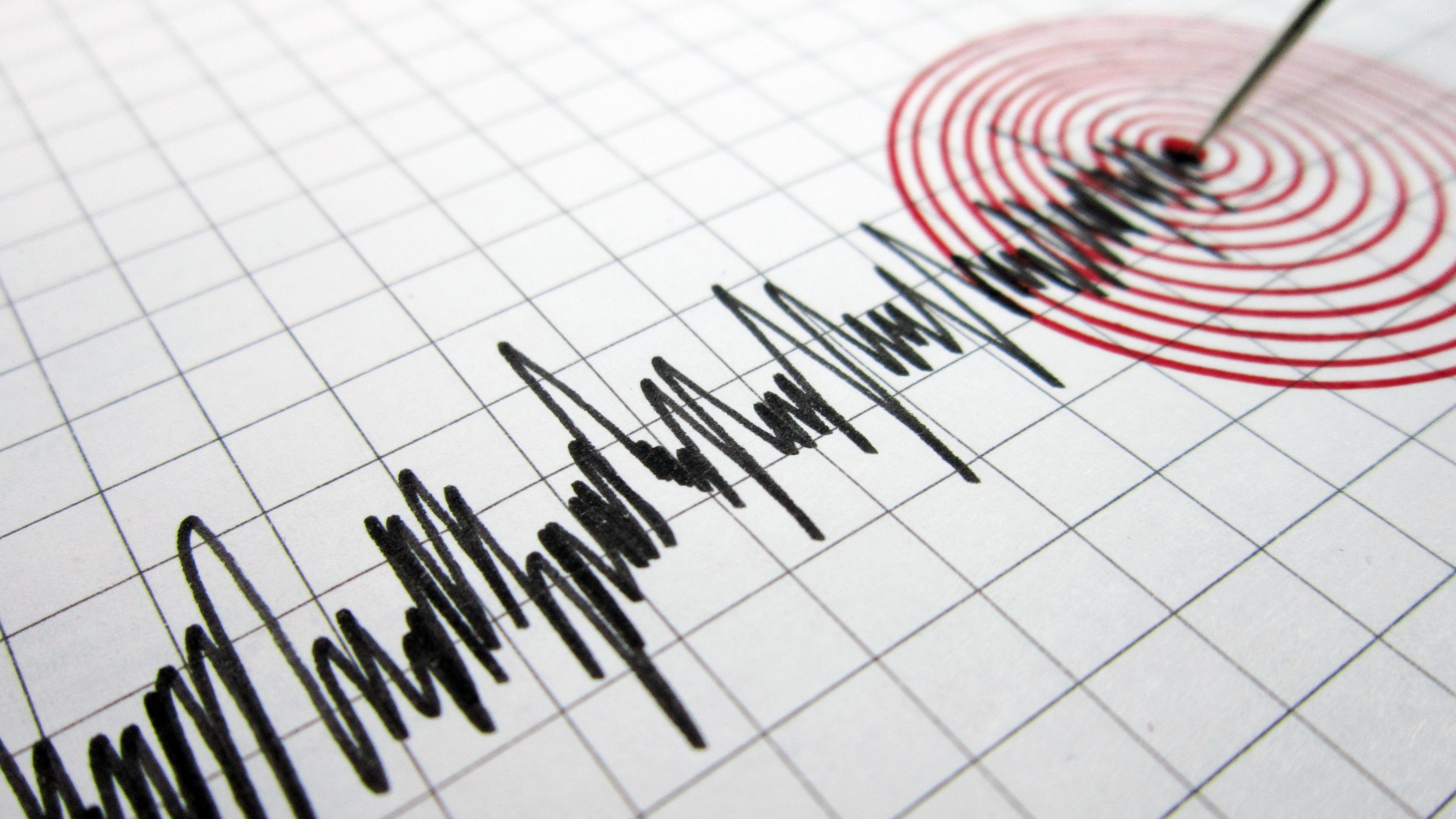 Două seisme s-au produs azi-dimineață în România! Zona care s-a cutremurat chiar de 1 Decembrie