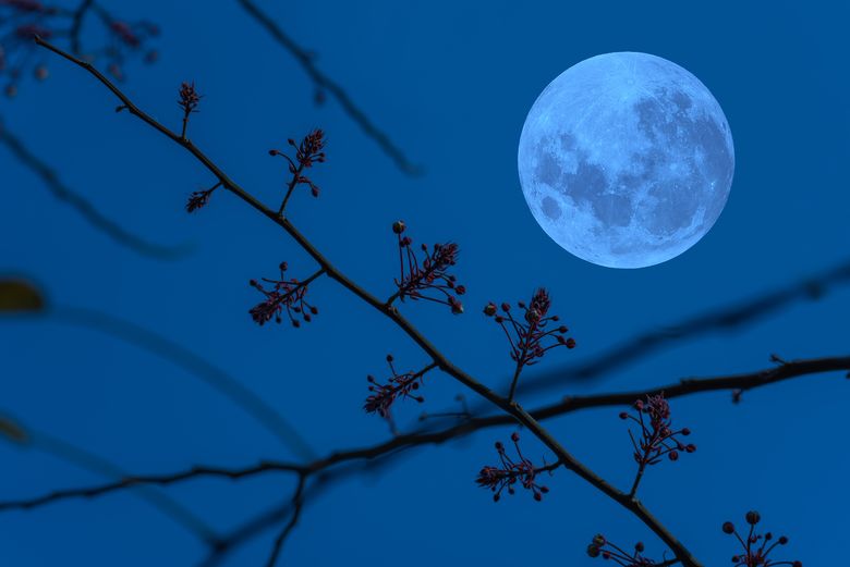 Pe 4 decembrie 2025 are loc Luna Rece, ultima Lună Plină a anului