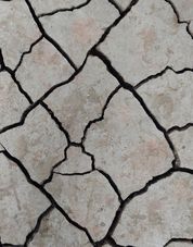 O nouă mișcare seismică în România. În ce orașe a fost resimțit cutremurul