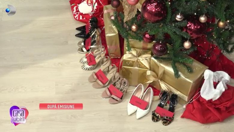 concurenti casa iubirii