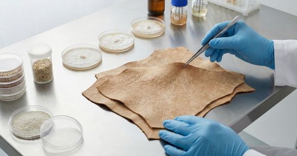 Pielea cultivată &icirc;n laborator oferă o cale modernă către moda etică, prin &icirc;mbinarea tehnologiei pielii cu biotehnologia avansată și materialele.