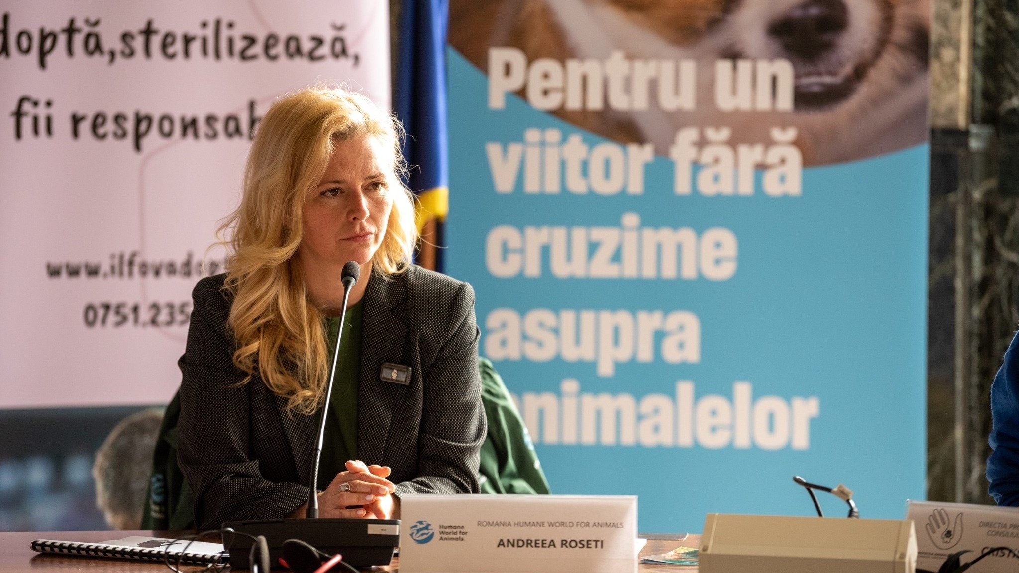 (P) De ce ar trebui să te intereseze de unde vine carnea de pui pe care o mănânci. 96% dintre păsări provin din sisteme intensive, doar 4% au acces afară sau sunt crescute ecologic
