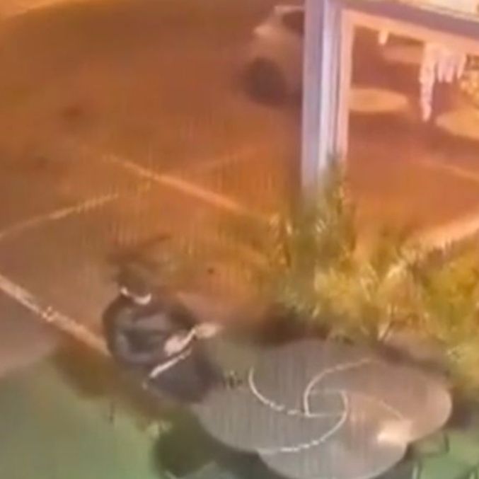 Atcatorul din Italia