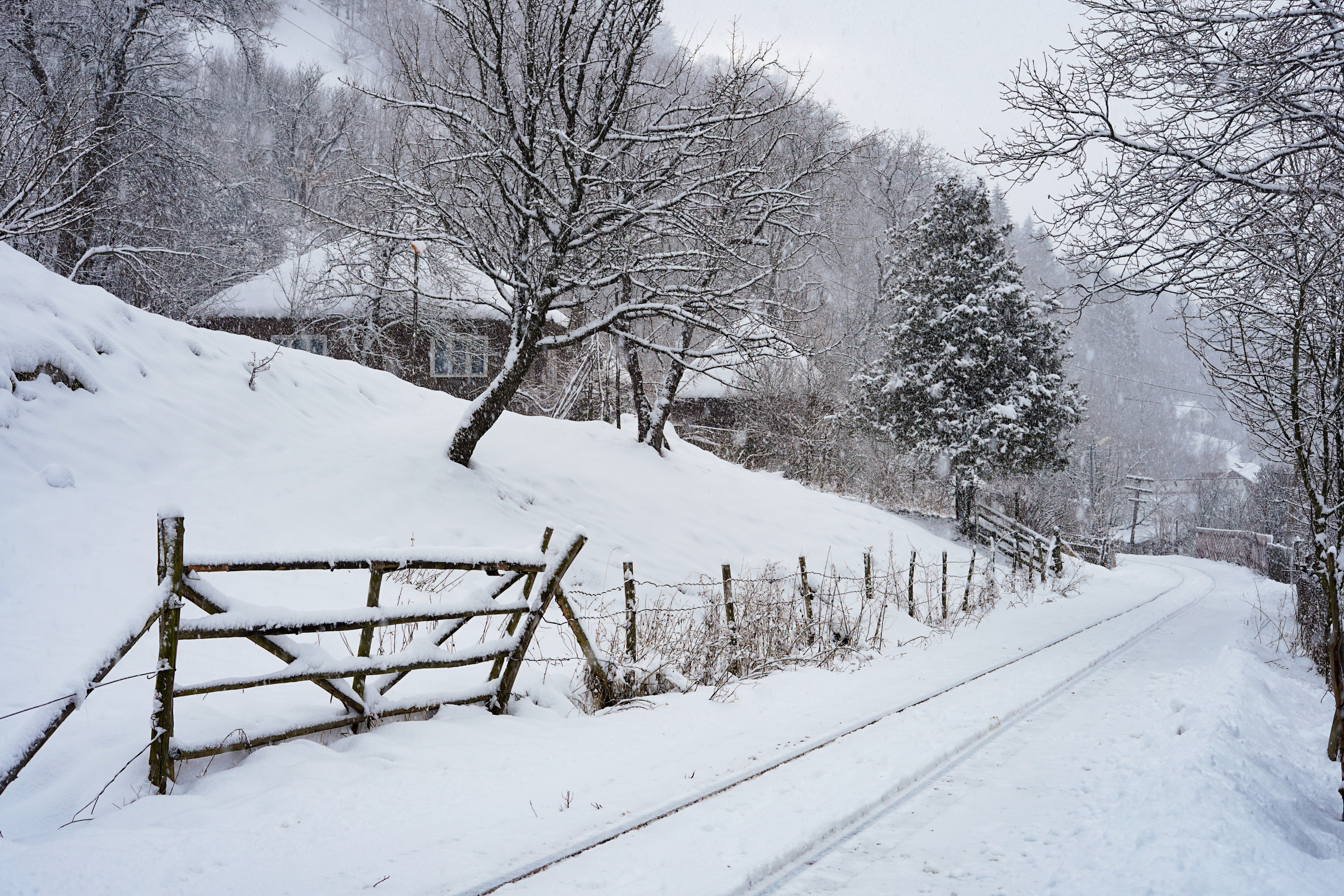 Este cod portocaliu de vânt puternic! Prognoza meteo ANM pentru duminică, 28 decembrie 2025: Meteorologii anunță ninsori viscolite la munte și soare în sudul țării