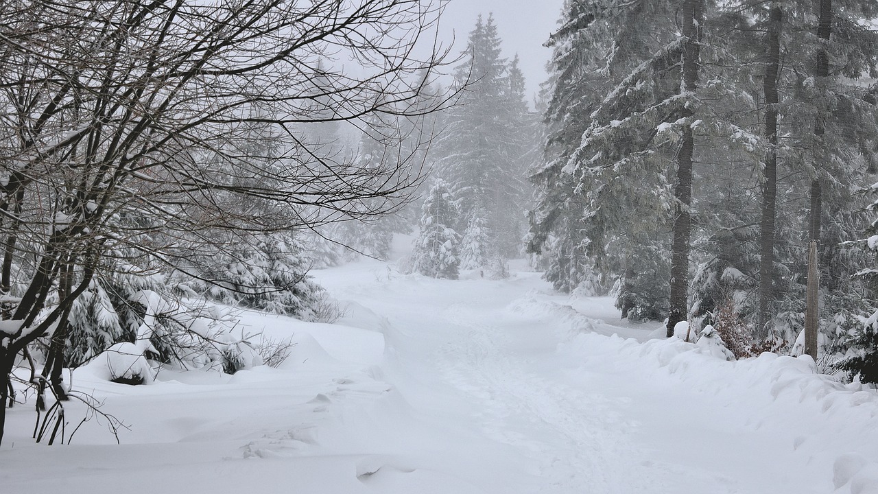 Vânt, lapoviță și ninsoare în toată țara în următoarele zile. La munte este cod galben de viscol
