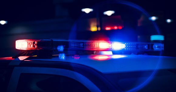 barbat vrancea padure