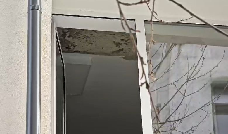 Tavan liceu Botoșani