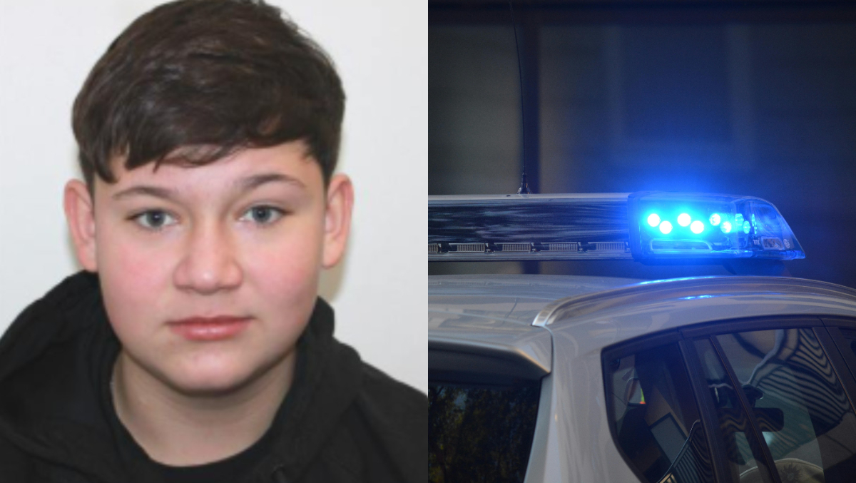 El este Alin, adolescentul de 15 ani găsit îngropat în curtea unei case din Timiș, după ce a fost dat dispărut. Principalii suspecți sunt alți doi minori