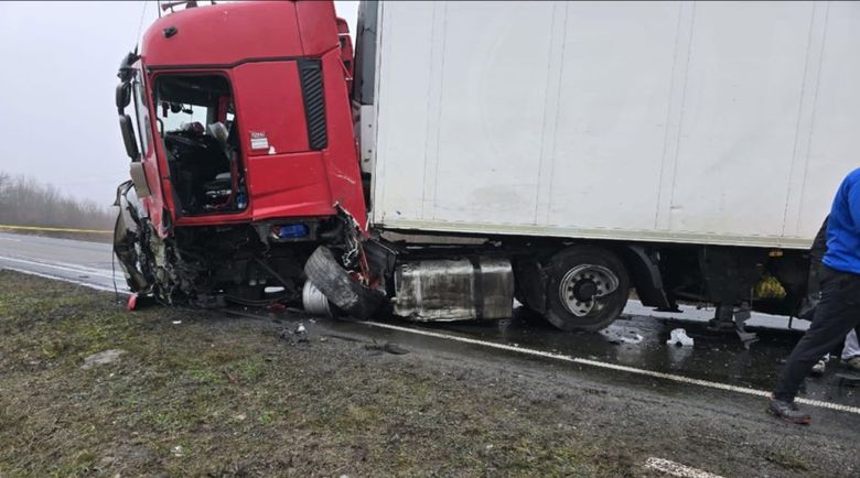 Șase persoane și-au pierdut viața în Timiș.