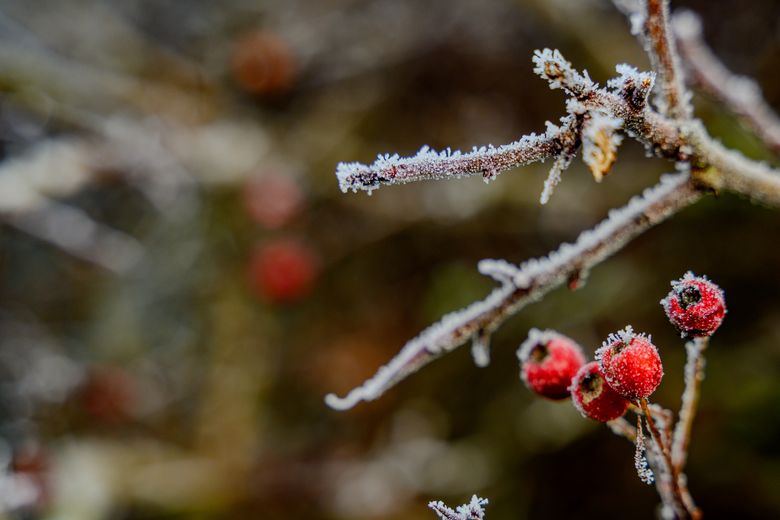 Prognoza meteo ANM pentru miercuri, 28 ianuarie 2026