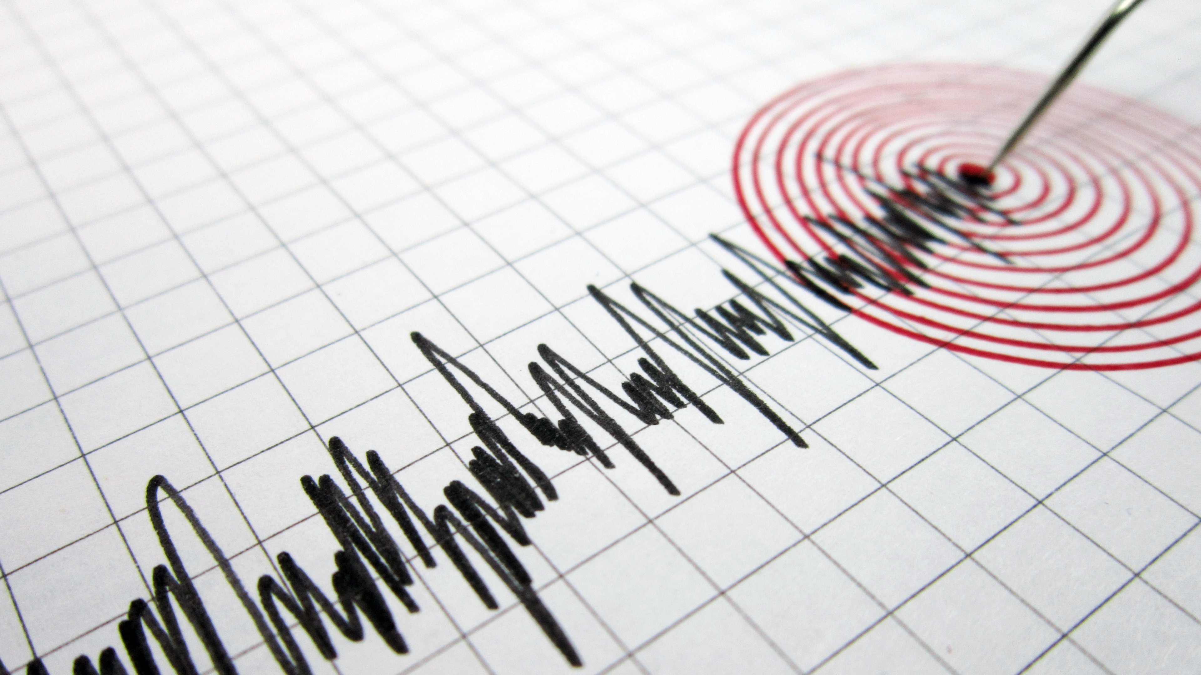 Două mișcări seismice au zguduit România! Una s-a produs într-o zonă neobișnuită a țării