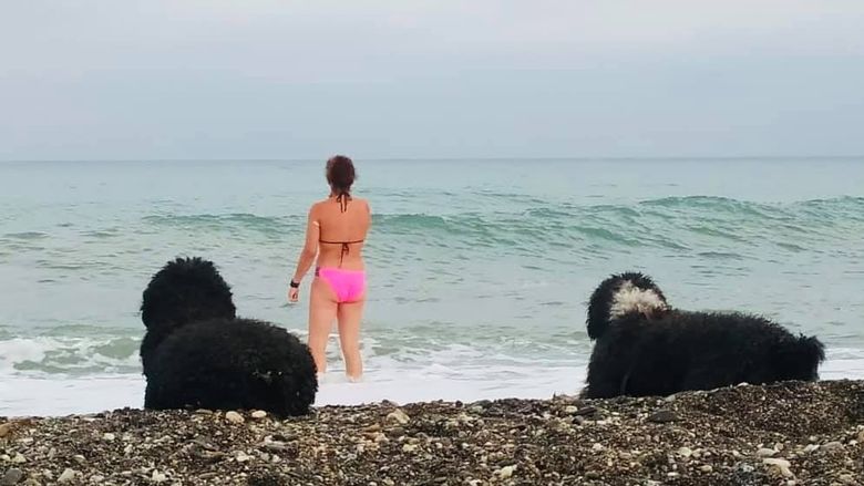 fata s-a stins din viata incercand să-si salveze cainele