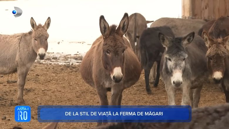 Asta-i România reportaj