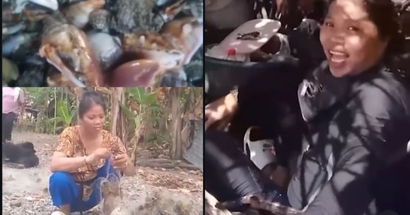 o influenceriță s-a stins din viata dupa ce a mancat crab