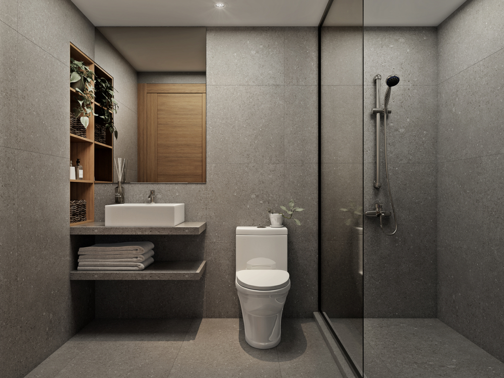 (P) Cum să alegi vase WC rimless pentru proiecte imobiliare premium?