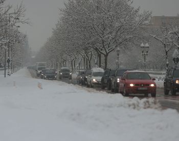 O adolescentă de 16 ani a fost găsită &icirc;n stare de inconștiență l&acirc;ngă fire de &icirc;naltă tensiune căzute pe o stradă din București