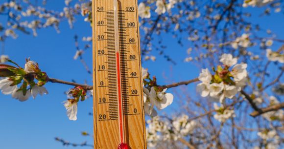 prognoza meteo 