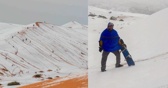 A nins &icirc;n Sahara!