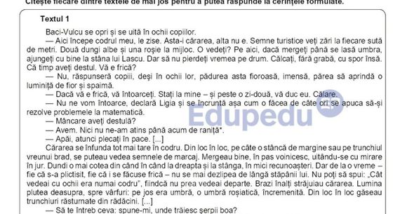 Simulare Evaluarea Națională 2026 Limba și literatura rom&acirc;nă