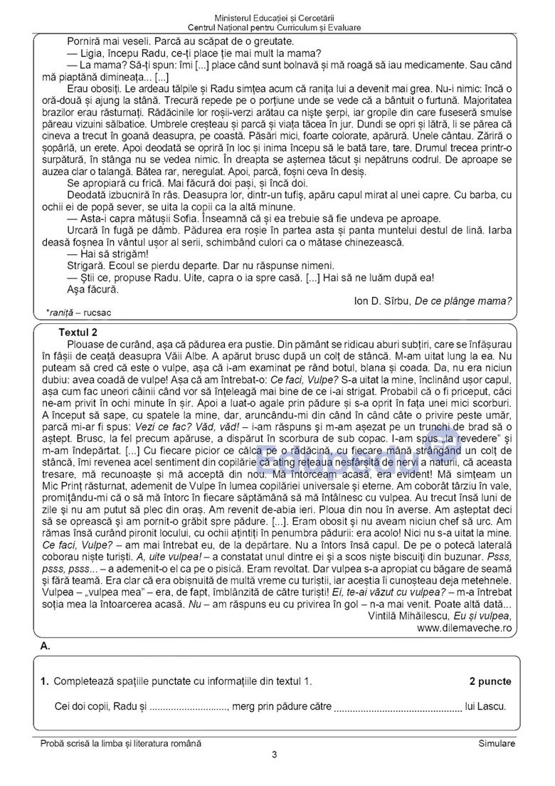 Simulare Evaluarea Națională 2026 Limba și literatura română