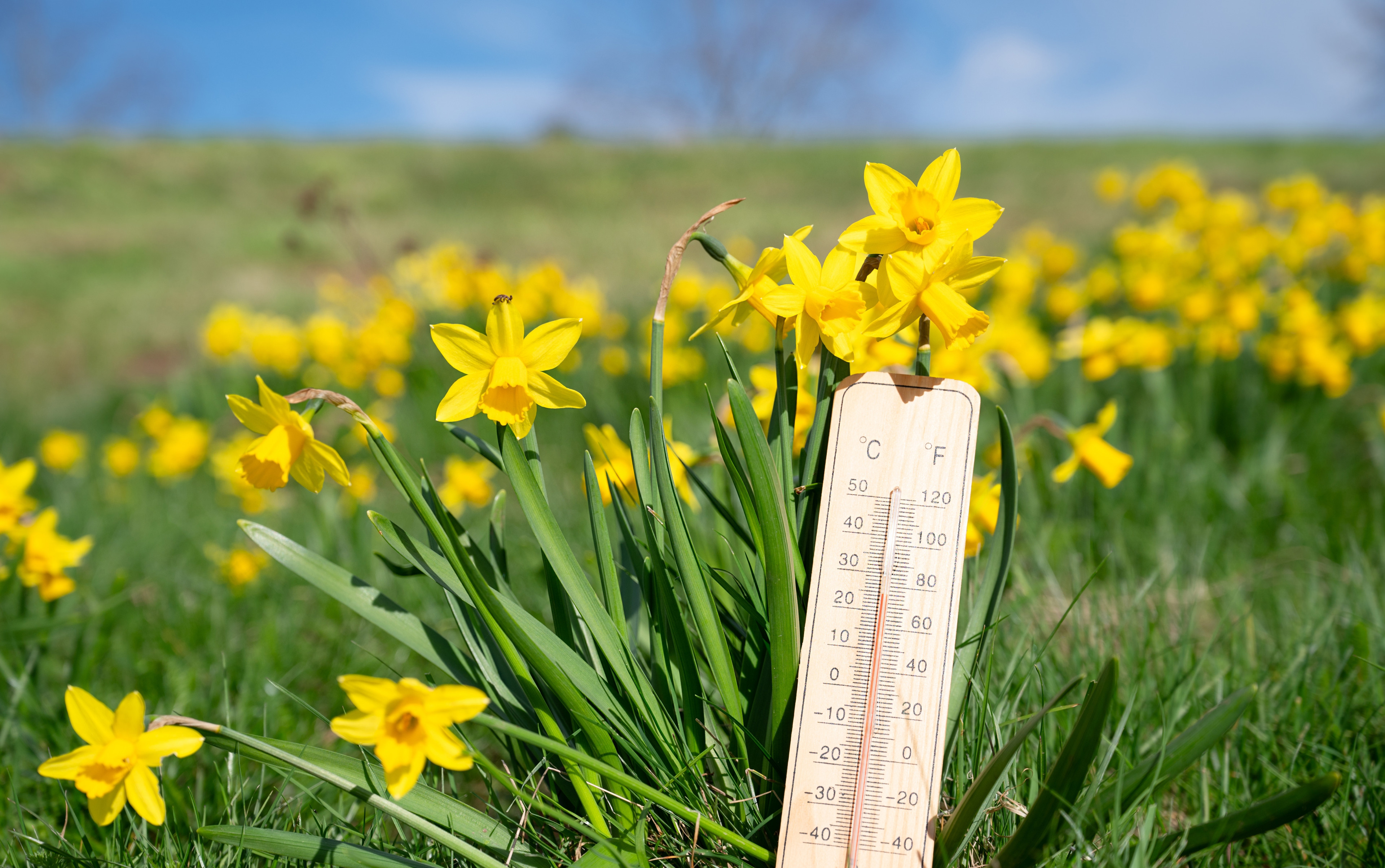 Prognoza meteo luni, 16 martie 2026: Meteorologii ANM anunță temperaturi mai scăzute față de zilele precedente