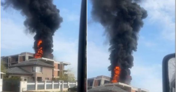 Foc